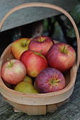 Small basket of apples