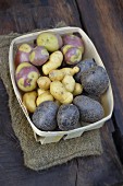 Assortment of old-fashioned potatoes