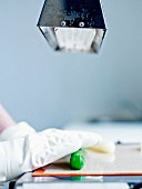 Bergamotten-Berlingots herstellen: Die Zuckerpaste unter einer Lampe zu einer Wurst rollen