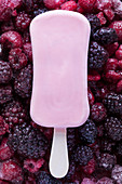 Raspberry ice cream bar