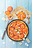 Apricot,almond and seringas tarte