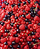 Raspberries, blackcurrants and redcurrants