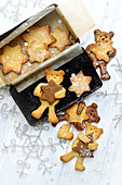Christmas bear biscuits