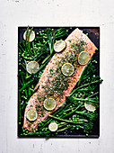 Baked salmon with herbs