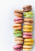 Assortment of Macarons on a white background
