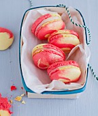 Two-colored Macarons
