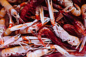 Raw prawns picture-filling