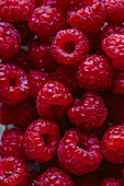 Raspberries close-up