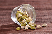 White and green cardamom seeds