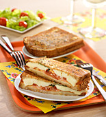 Tomato-mozzarella toasted sandwich