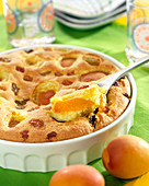 Apricot pudding