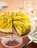 Petit Beurre crumb, orange and pistachio cheesecake