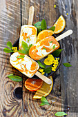 Citrus fruit ice cream pops