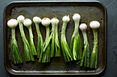 Raw spring onions with salt on a baking tray