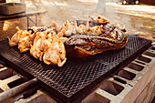 Poultry and meat on the barbecue