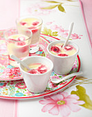 Cream dessert with raspberries