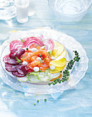 Rainbow dish with smoked salmon and vegetable carpaccio with mini mozzarella balls