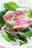 Gemischter Salat mit gegrilltem Rotbarbenfilet auf Weißbrot