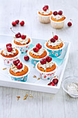 Cupcakes with cherries and sunflower seeds