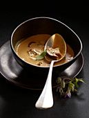 Cream of cep soup with sage