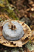 Selles-sur-Cher in a wooden plate with leaves on a tree trunk outside