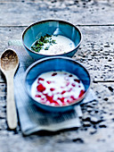 Homemade Sweet Fermented Milk With Pomegranate Seeds And Salty Fermented Milk With Herbs And Spices