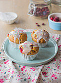 Muffins mit frischen Preiselbeeren und getrockneten Cranberries
