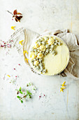 Spring Lemon Poppy Seed Cake