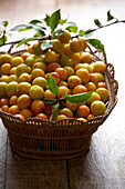Basket of fresh mirabelle plums