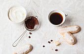 Zutaten für Tiramisu: Mascarpone, Kakao, Kaffee und Löffelbiskuits