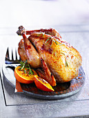 Roasted guinea fowl with oranges