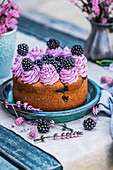 Blackberry cake with cardamom