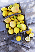 Basket with yellow citrus fruits