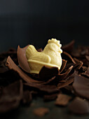 Dark chocolate egg with white chocolate chicken