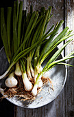 Fresh spring onions in their skins