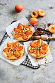 Apricot, pistachio and quince jelly tartlets