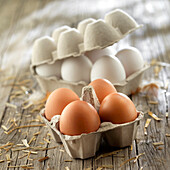 Brown and white eggs in egg cartons