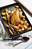 Roasted chicken with parsnips, turnips, carrots and potatoes