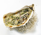 Oyster au gratin with seaweed on coarse sea salt