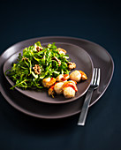 Rocket salad with scallops
