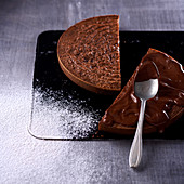 Chocolate sponge cake with chocolate icing