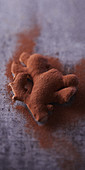 Ginger dusted with cocoa powder
