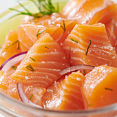Close-up of raw salmon fillet