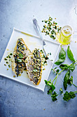 Sea bream fillets cooked on a flat plate grill with a herb crust