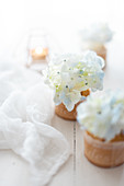 Hochzeitsküchlein im Glas dekoriert mit weißen Hortensienblüten