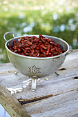 Colander of red kidney beans