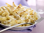 Penne and cream gratin