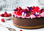 Chocolate Cheese Cake with Raspberry Mousse