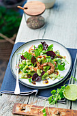 Shrimp salad with kiwi and mixed greens