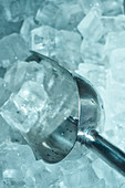 Shovel and ice cubes